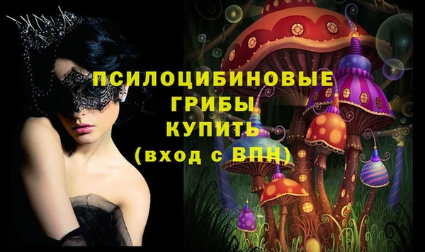 ешки Аркадак