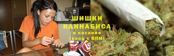 ешки Аркадак